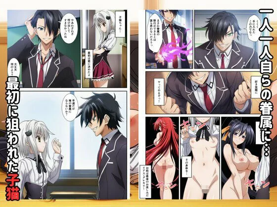 ハーレムハイスクールD×D！もしリアスの眷属が俺のものになったら 画像2