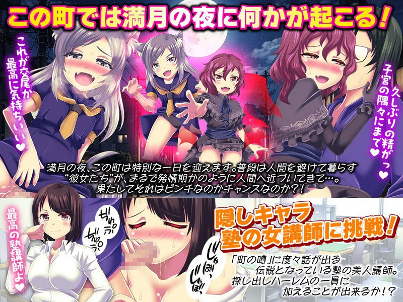 腹ぼてハーレムの箱庭生活 画像5