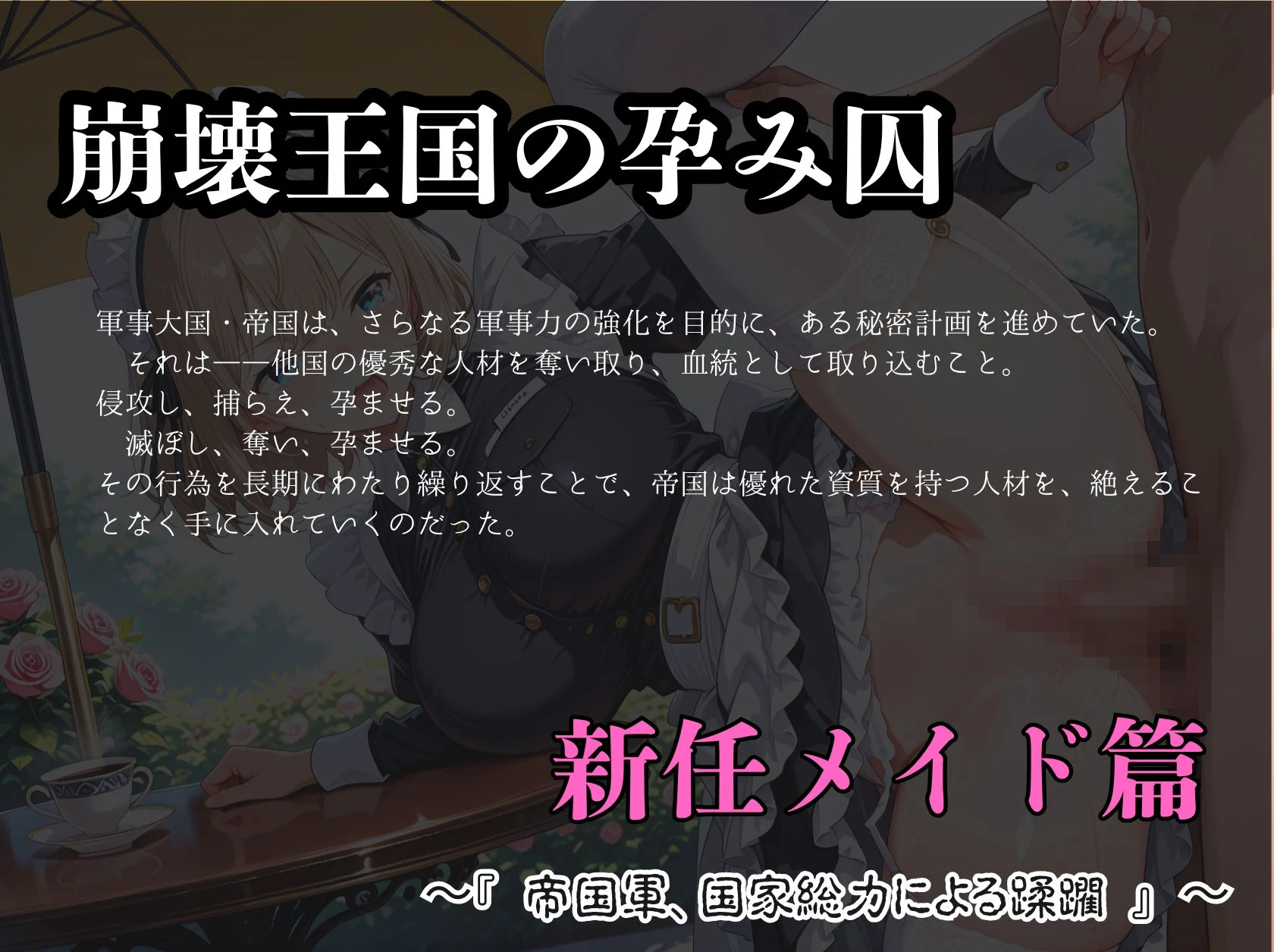 崩壊王国の孕み囚  〜『 帝国軍、国家総力による蹂躙 』 〜  新任メイド篇 画像1
